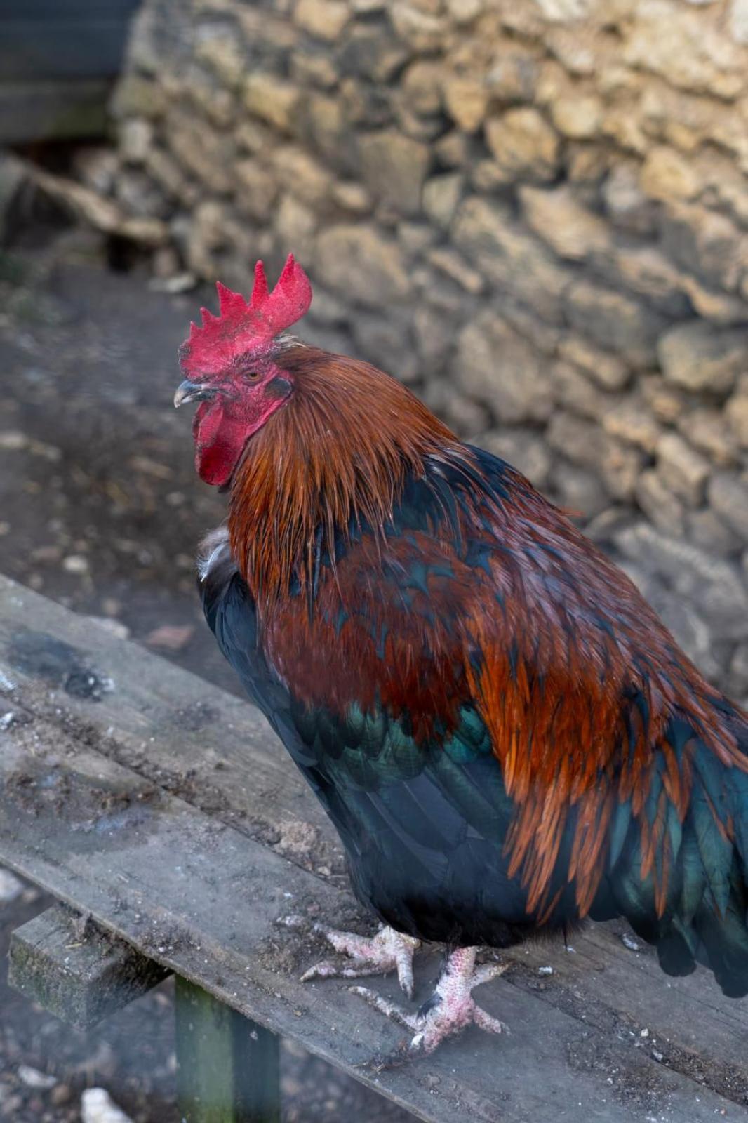 La Bergerie De Genouse Villa Marnay Kültér fotó